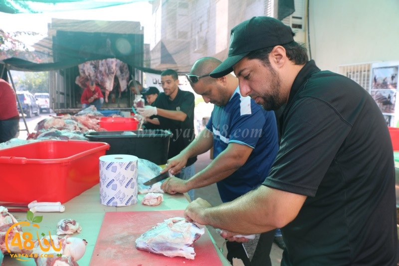 lod8om ada73y (92).JPG